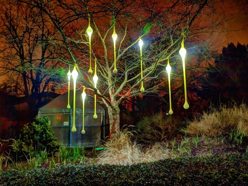 Ein Lichterbaum im Luisenpark